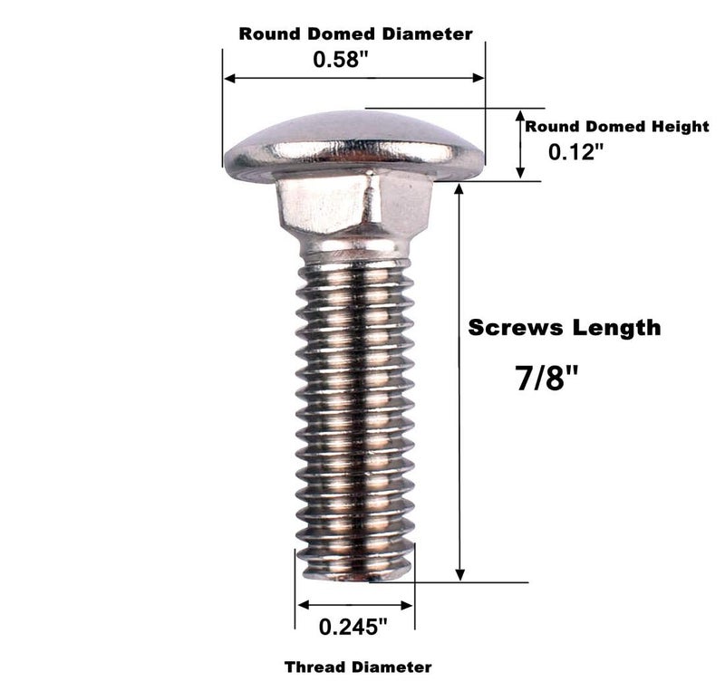 VAMUOEFL 1/4-20 x 7/8" Carriage Bolts Screws, 18-8 Stainless Steel 304, Round Head, Square Neck, UNC Fully Machine Coarse Threaded,20Pcs - Image 2
